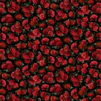 ttFLEUR-CD4228 BLACK